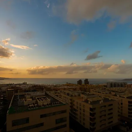 Maravillosas Vistas En Palmas